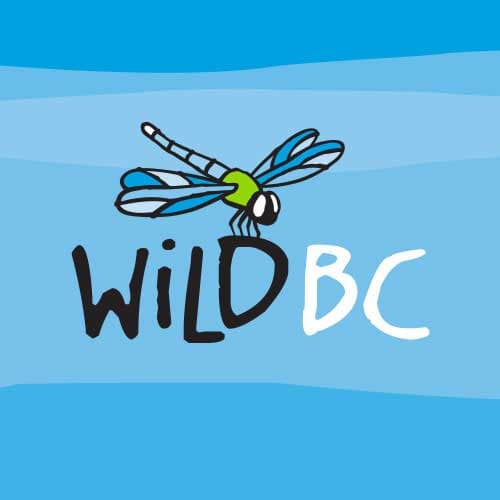 CBEEN Workshops - WildBC