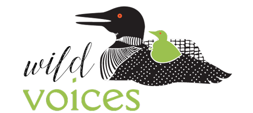Wild Voices Logo
