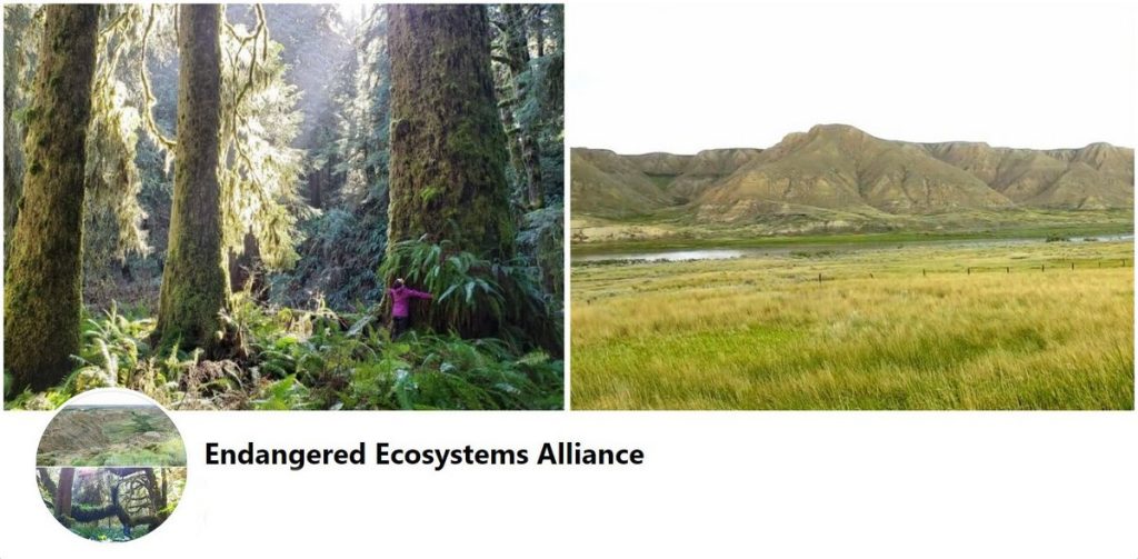 Endangered Ecosystems Alliance - Executive Assistant (remote/virtual)