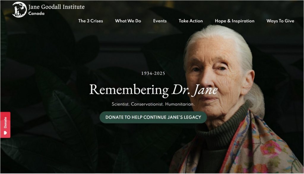 Remembering Jane Goodall
